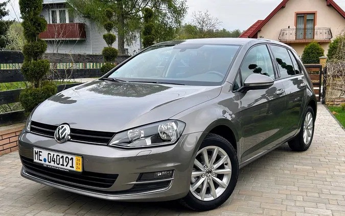 świętokrzyskie Volkswagen Golf cena 42900 przebieg: 180000, rok produkcji 2016 z Kielce